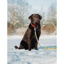 Meike Autofokus Objektiv 55mm F1.4 AF STM APS-C für Sony E-Mount Kameras