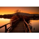 Meike Vollformat Objektiv 35mm F2.0 AF STM Autofokus für Nikon Z Mount Kameras